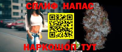 сатива Славгород